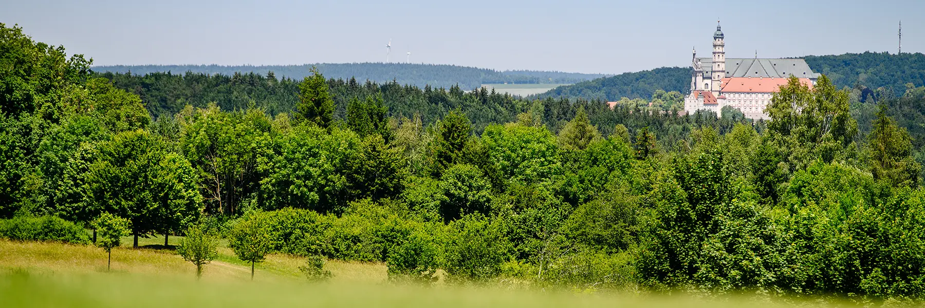 Natur in Neresheim mit Blick auf das Kloster