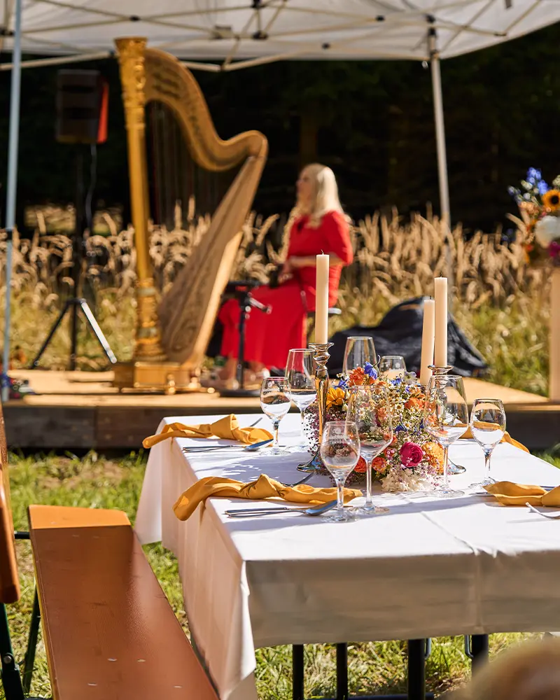 Gedeckter Tisch im Grünen