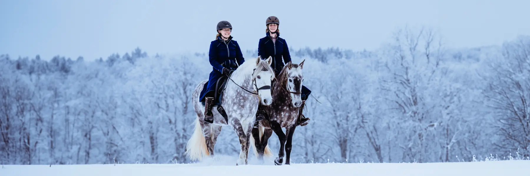 Reiten im Wildpark Duttenstein