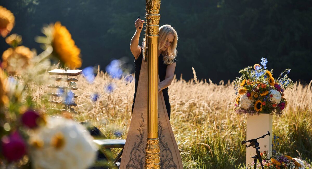 Harfespielerin bei einem Konzert im Park vor Schloss Duttenstein