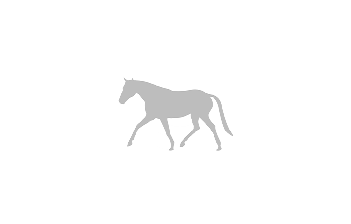 Logo des Partners OsteoDressage